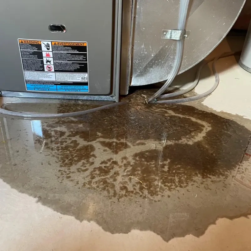 Appliance Leak Cleanup in Buchanan County, MO