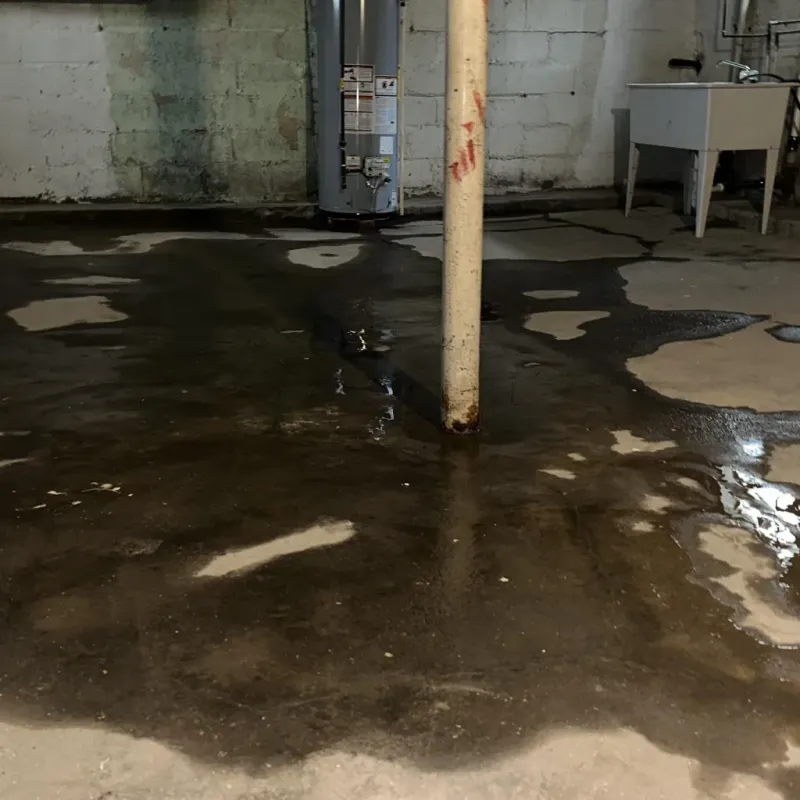 Emergency Water Extraction And Removal in Buchanan County, MO